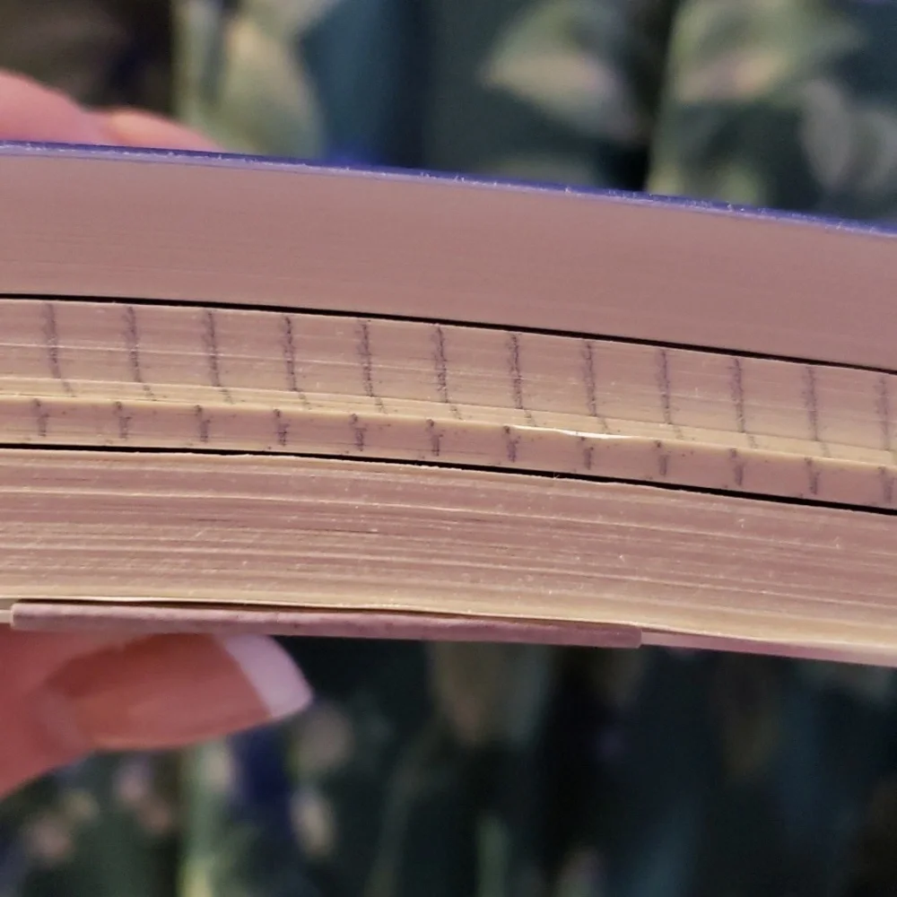 3-in-1 journal  new.